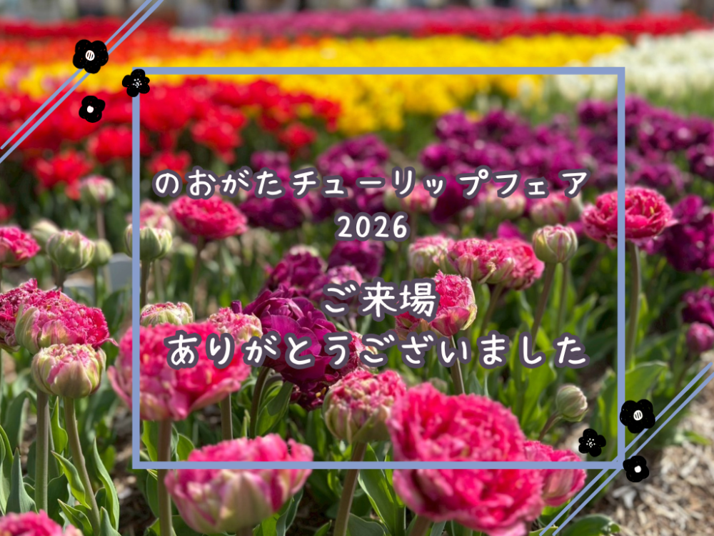 のおがたチューリップフェア2026<br>ご来場ありがとうございました
