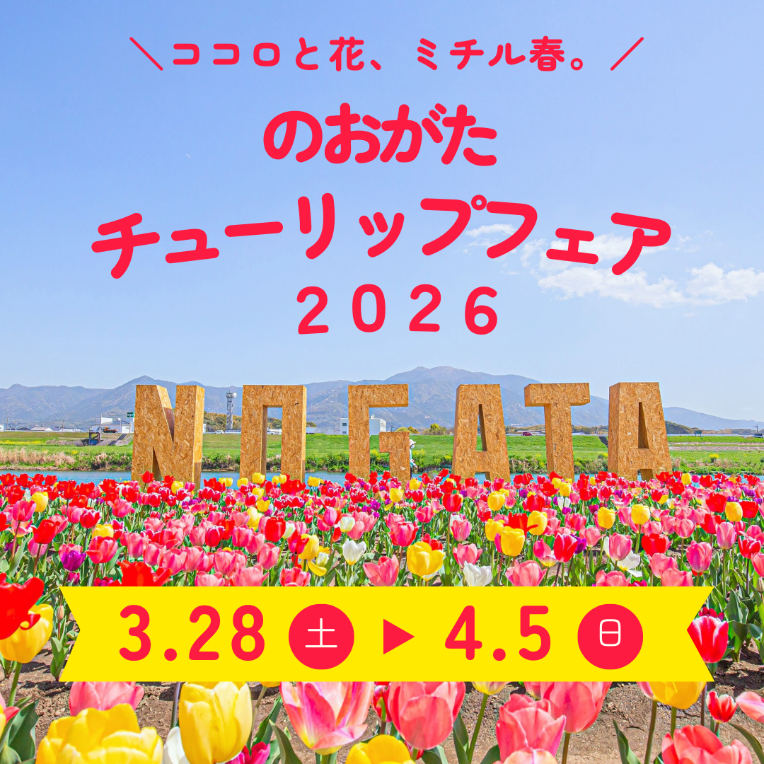 【3/28(土)~4/5(日)】<br>のおがたチューリップフェア2026