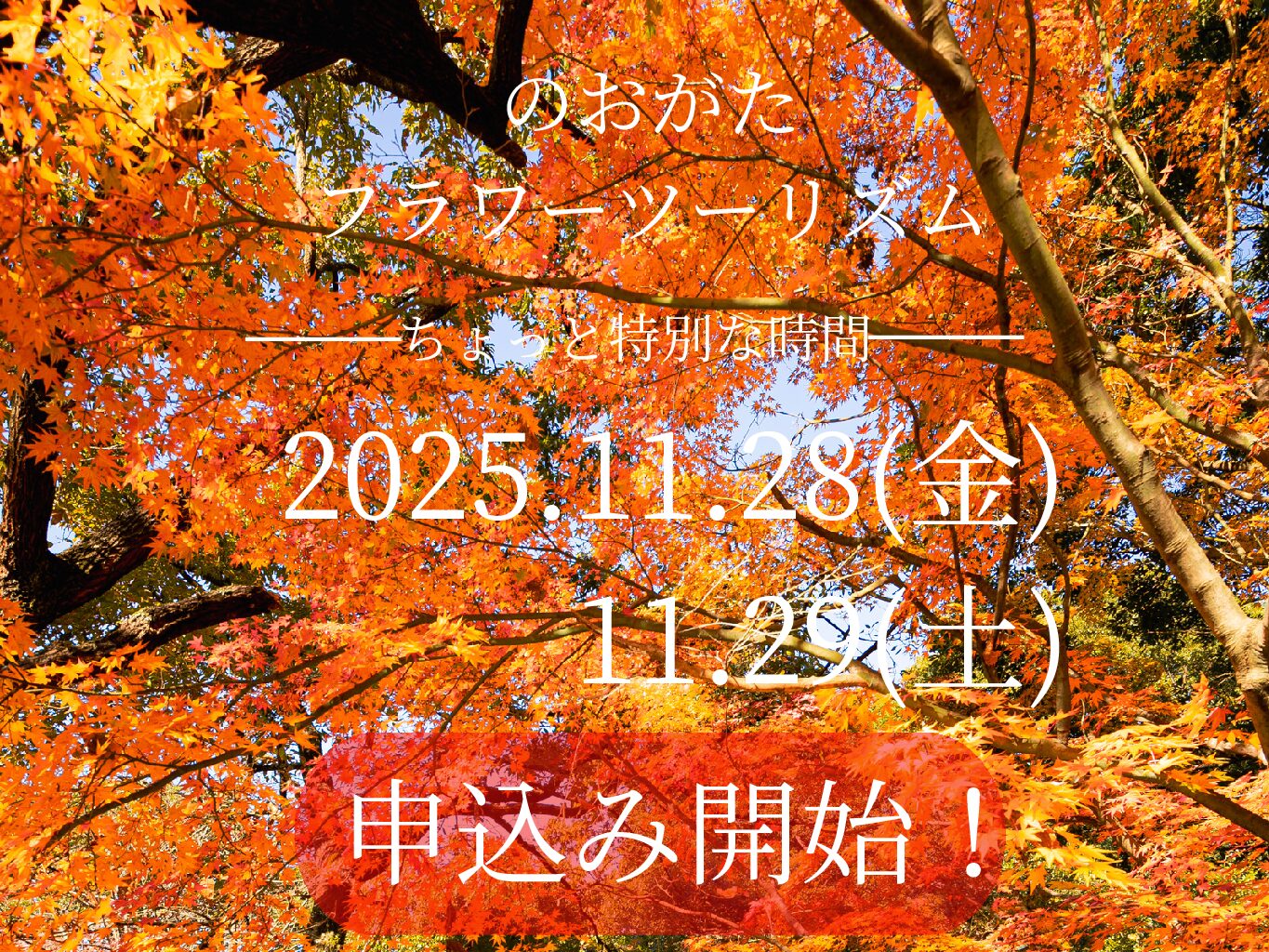 【~10/31(金)締切り】<br>のおがたフラワーツーリズム<br>10/6(月)申込み開始!