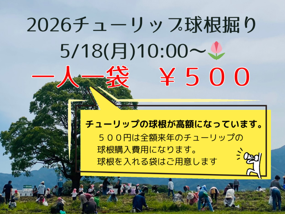 【5/18(月)10:00～】球根掘り