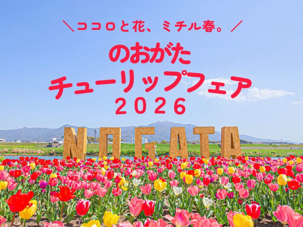 【3/28(土)~4/5(日)】<br>のおがたチューリップフェア2026