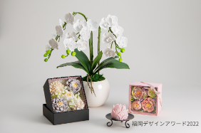 しっくいの花　ラコッタ